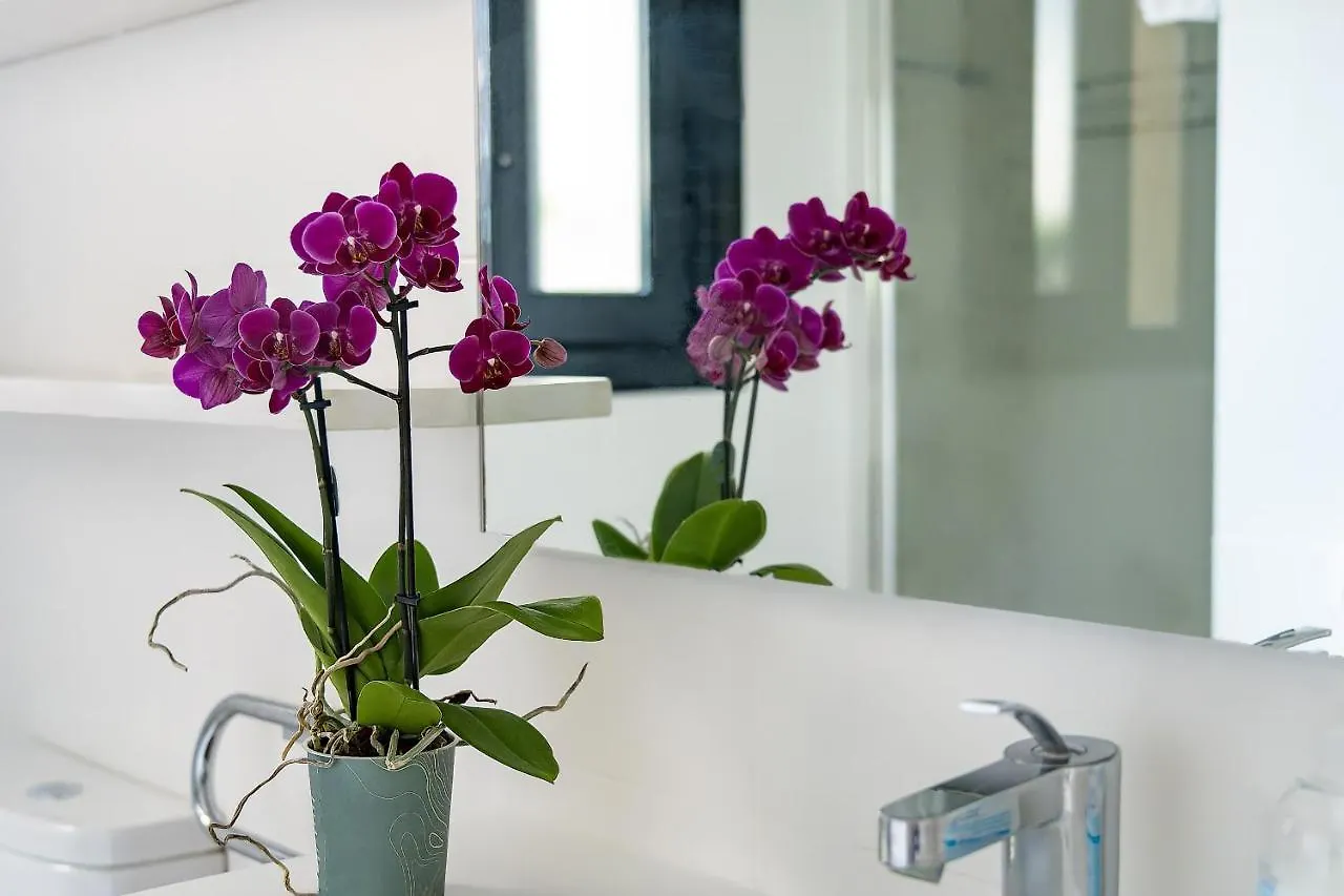 Apartaments Tee & Sea Santa Cristina d'Aro Apartment