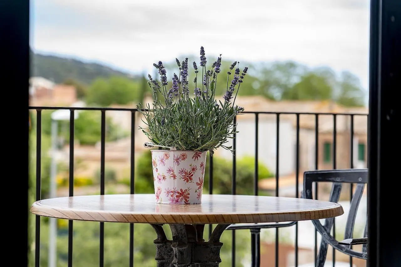 Apartaments Tee & Sea Santa Cristina d'Aro 0*,